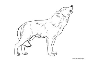 Free printable arctic wolf coloring pages for kids