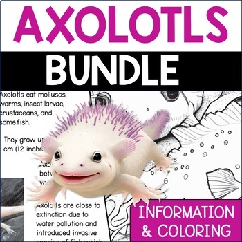 Axolotl information coloring pages bundle