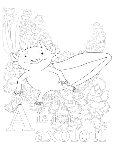 A is for axolotl â