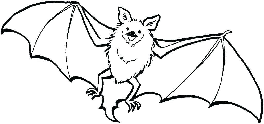 Bat coloring pages pdf for your kids