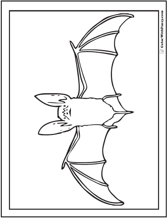 Halloween printable coloring pages jack olanterns spiders bats