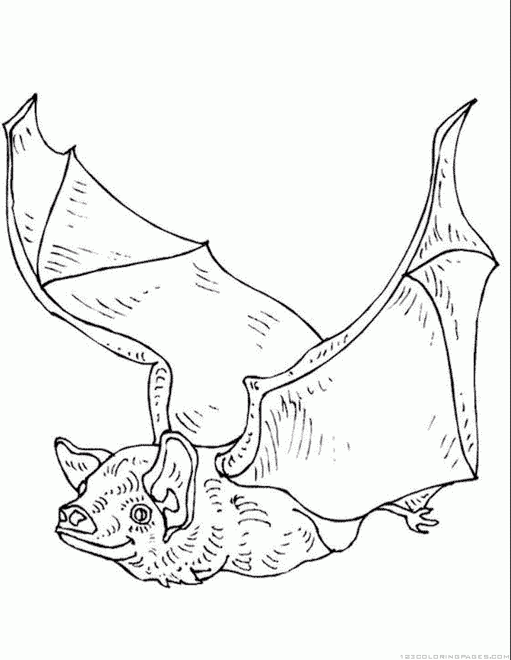 Bat coloring pages