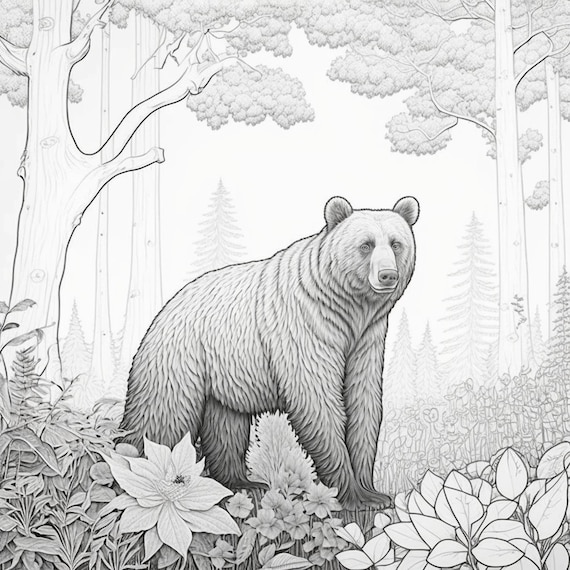 Realistic forest bear coloring pages set of