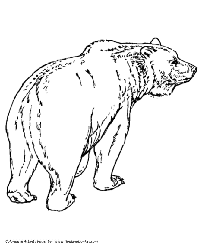 Wild animal coloring pages bear coloring page and grizzly bear walking on all four sheet