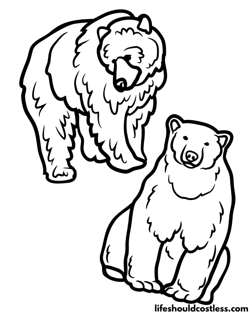 Bear coloring pages free printable pdf templates