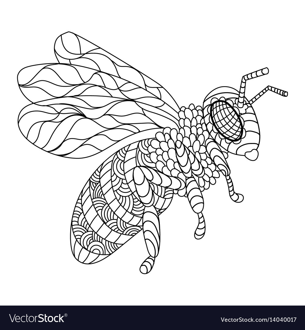 Bee coloring book royalty free vector image