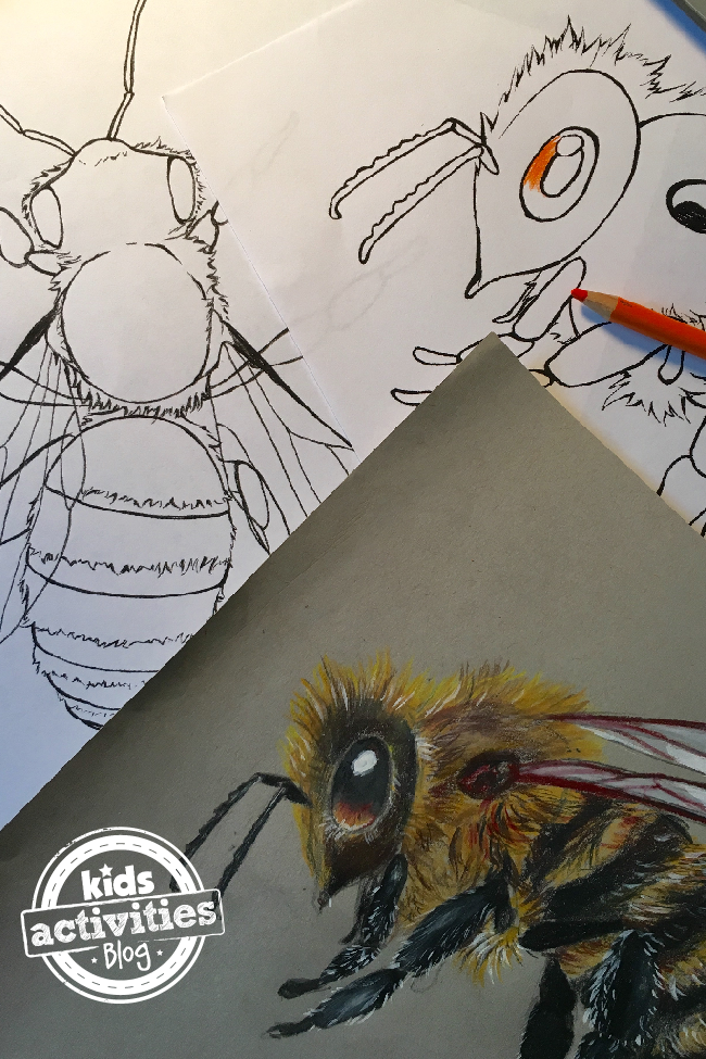 Awesomely detailed honey bee coloring pages for kids