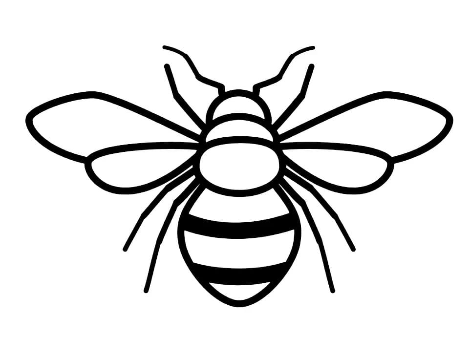 A bee coloring page