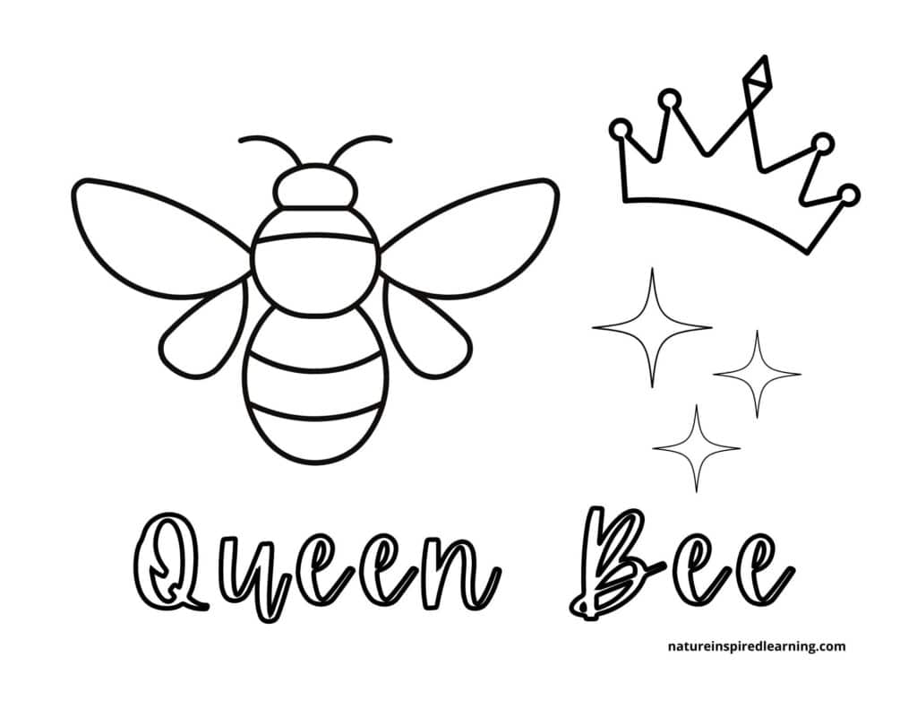 Busy bee coloring pages for kids