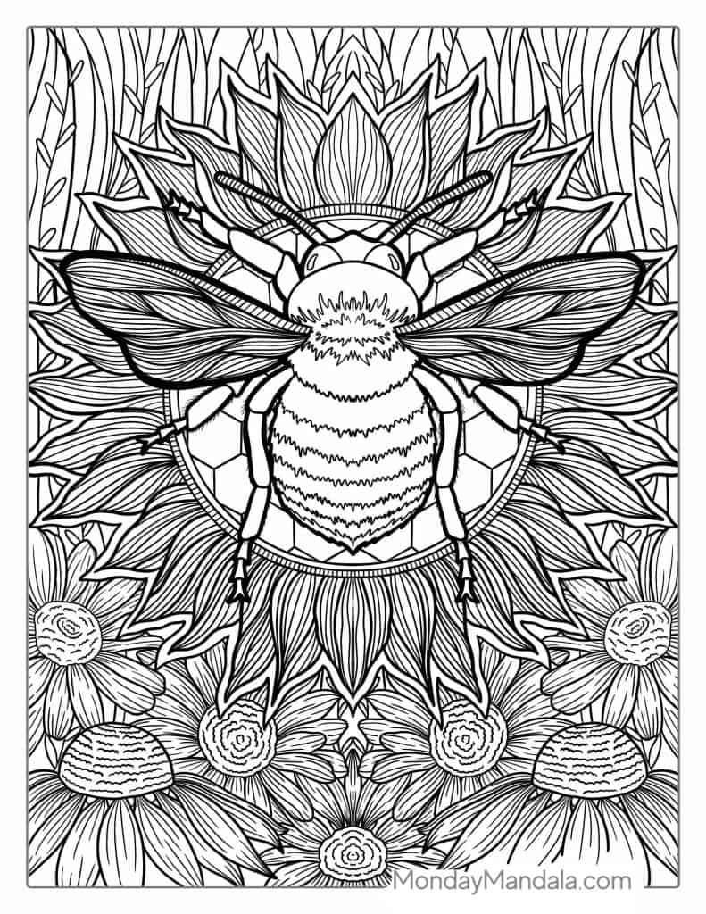 Bee coloring pages free pdf printables