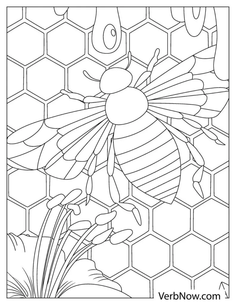 Free bee coloring pages book for download printable pdf