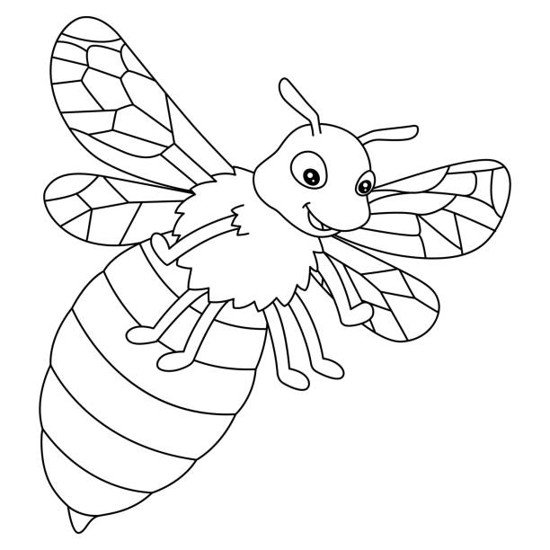 Bee coloring page isolated for kids stock illustration