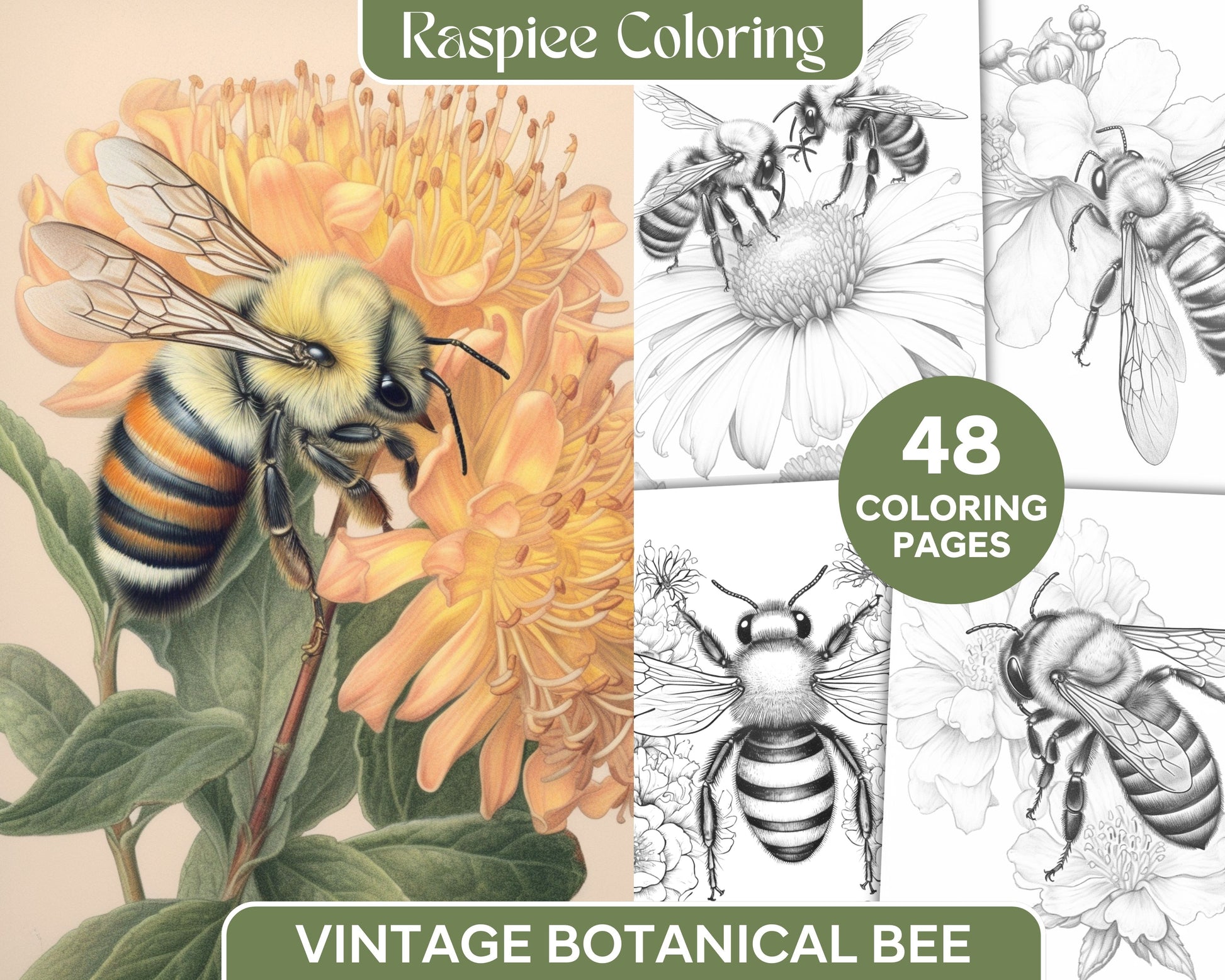 Vintage botanical bee grayscale coloring pages printable for adults â coloring