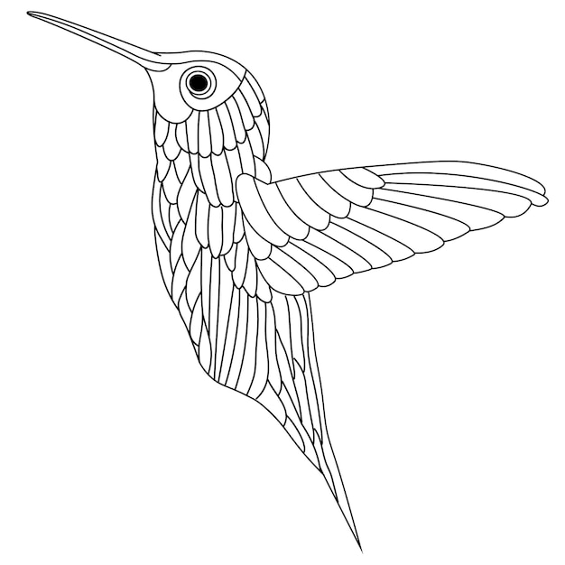 Premium vector cute hummingbird bird coloring book page line art illustration for kids