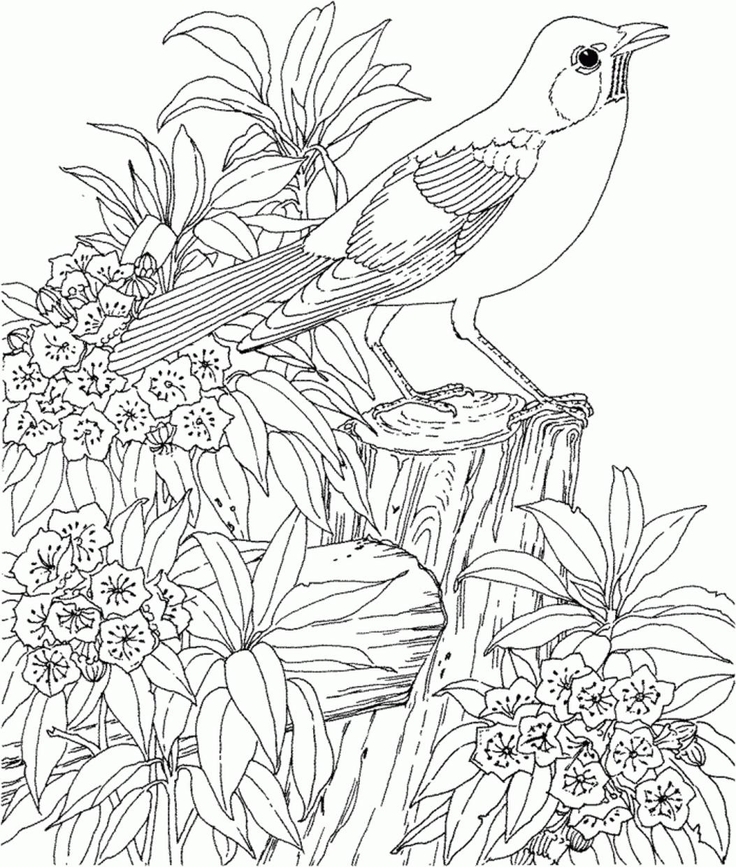 Get this hard coloring pages printable free realistic bird image