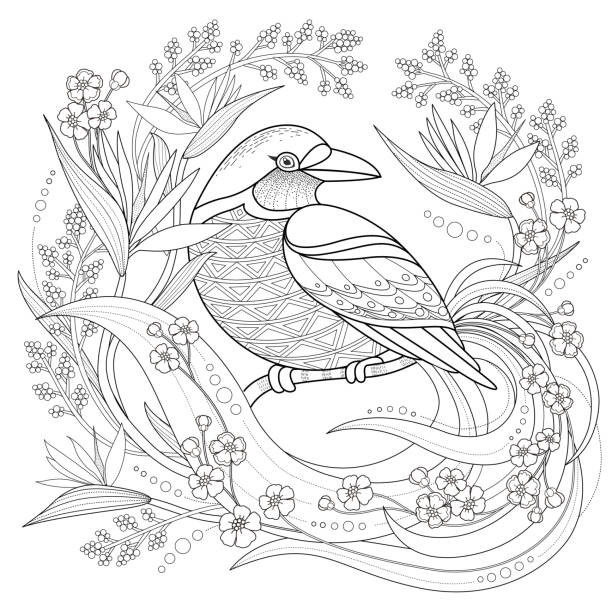 Graceful bird coloring page stock illustration