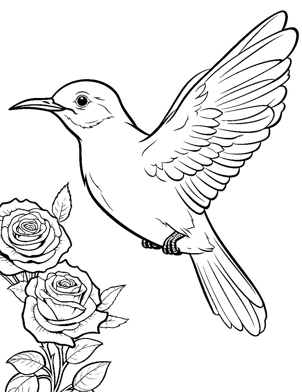 Bird coloring pages free printable sheets