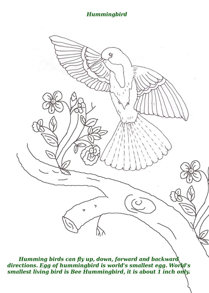 Birds printable coloring page for kids