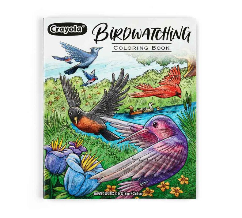 Bird coloring book for adults pages