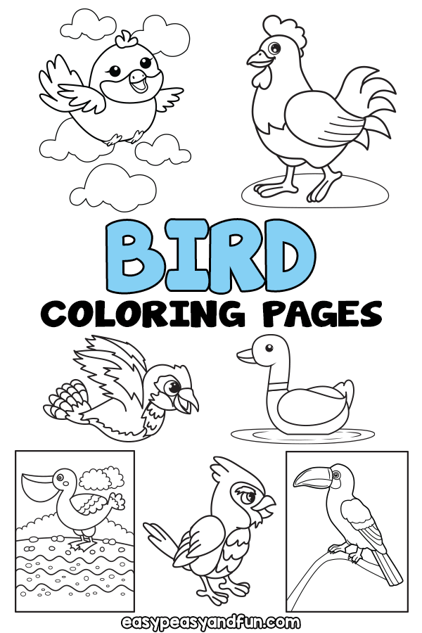 Printable bird coloring pages