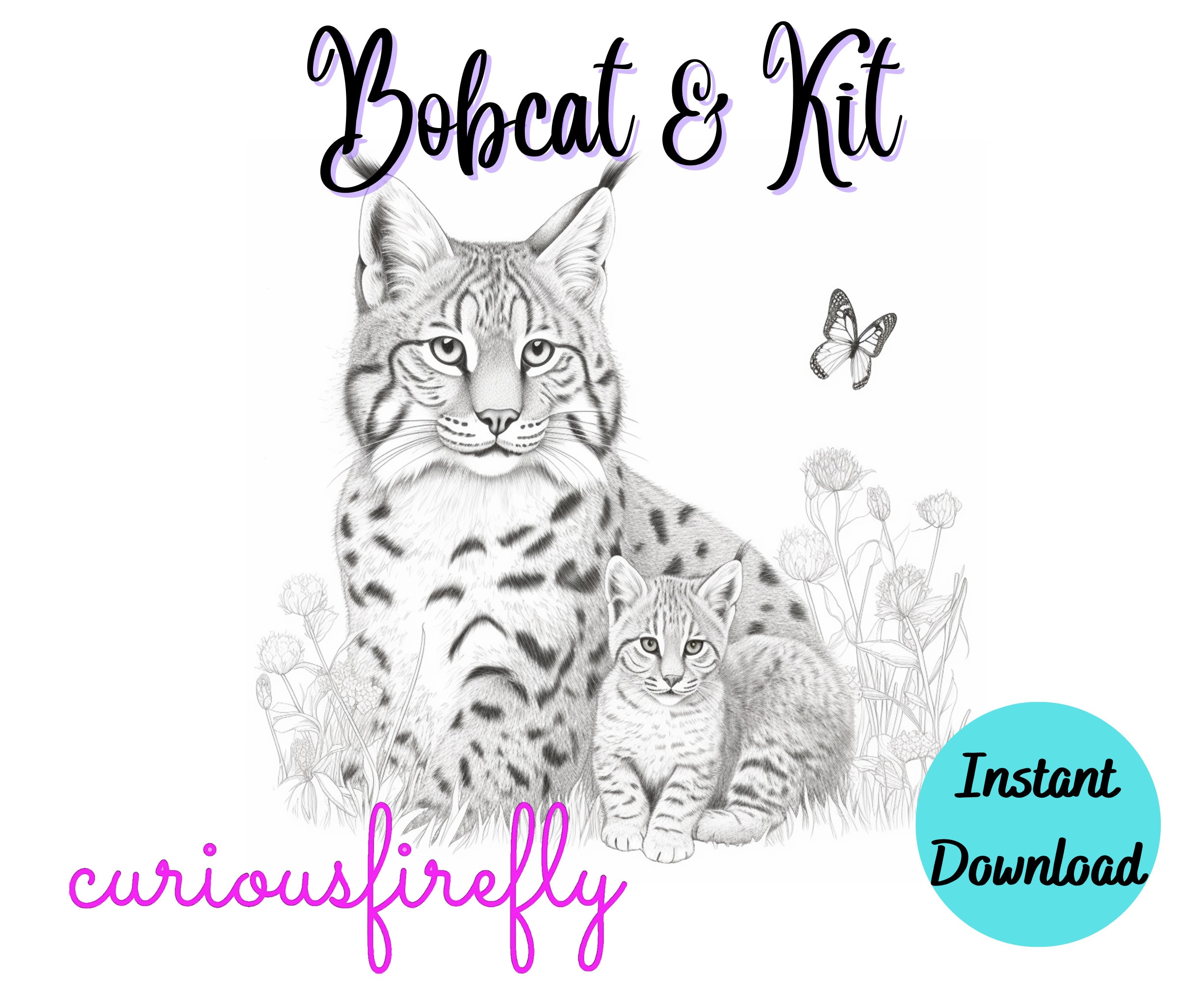 Coloring page for adults bobcat kit grayscale coloring page instant download curious firefly design jpeg pdf