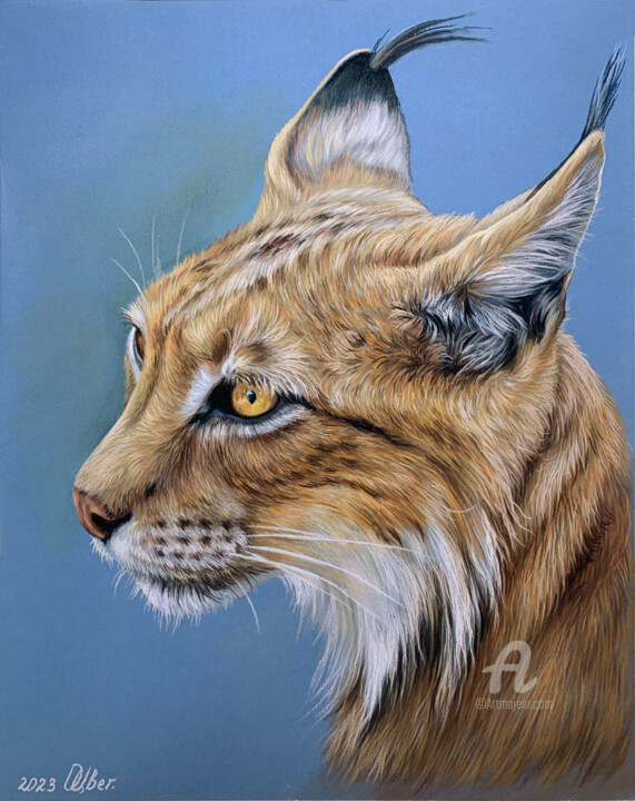 Pastel portrait of bobcat drawing by olga tsvetkova