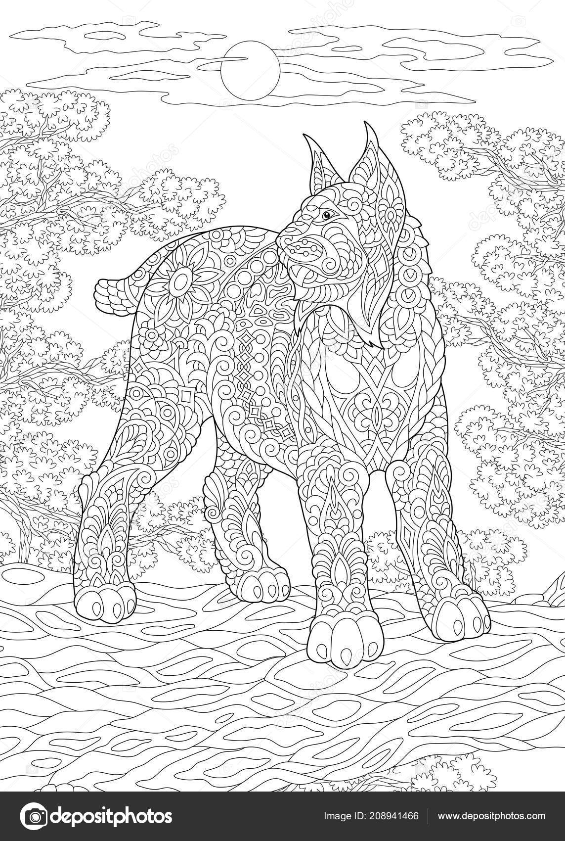 Coloring page coloring book colouring picture wildcat antistress freehand sketch stock vector by sybirko