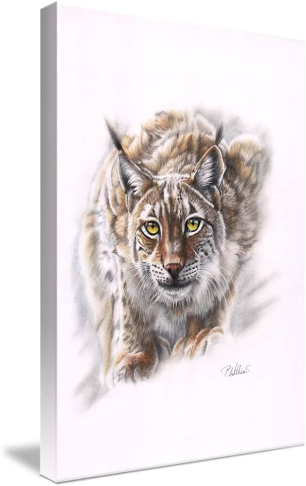 Spirit of siberia european lynx color pencil drawing realistic wildlife illustration by peter williams gallery