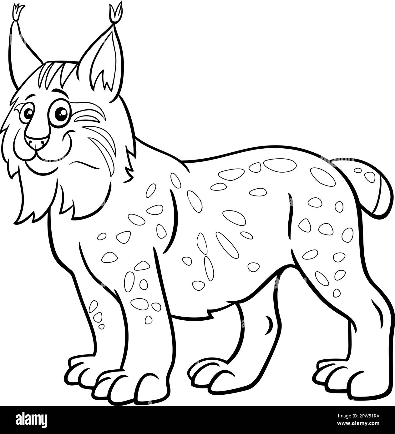 Bobcat drawing black and white stock photos images