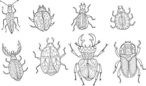 Advanced insect coloring page