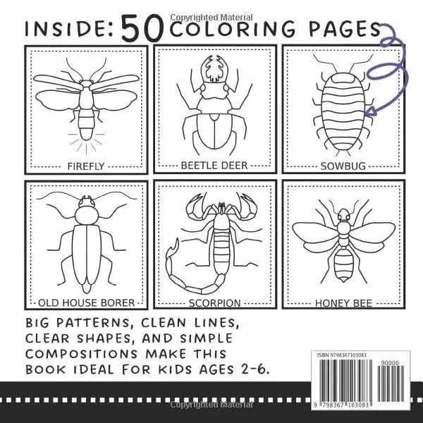 Bug coloring book for kids educational coloring pages of realistic insects for