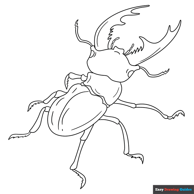 Free printable insect coloring pages for kids