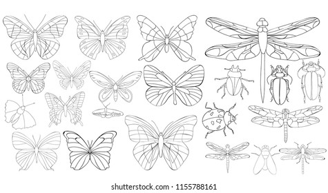Isolated insect set butterflies dragonflies coloring stock vector royalty free