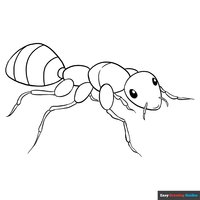 Free printable insect coloring pages for kids