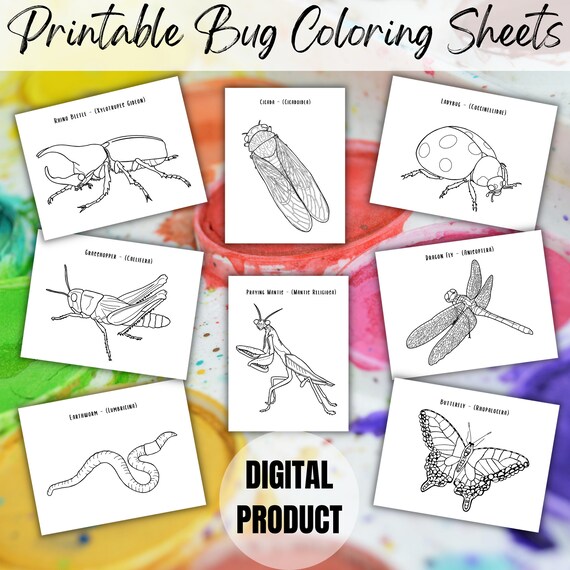 Bug coloring sheets bug birthday activity kids coloring sheets bug lover printables bug birthday party digital download