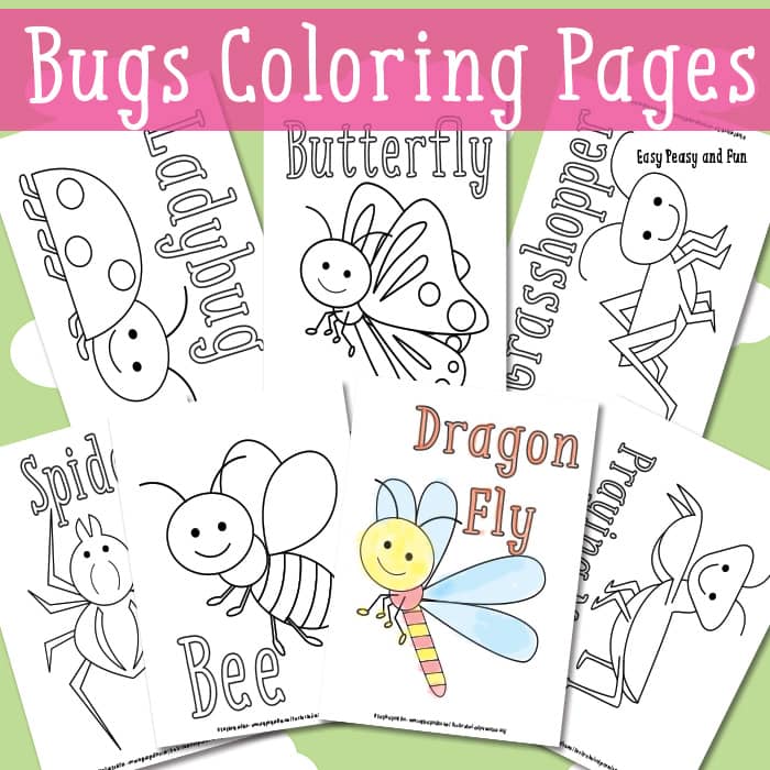 Little bugs coloring pages for kids