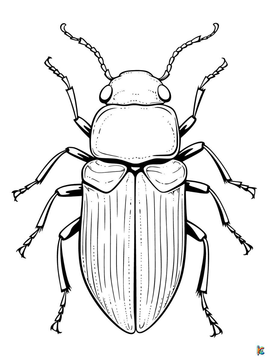 Bug coloring pages â