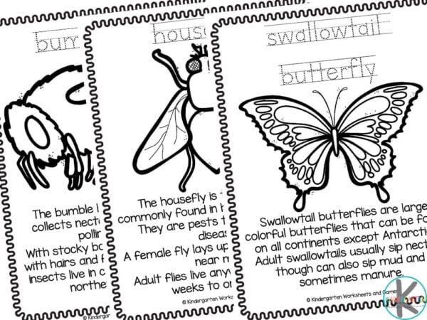 Ð free insects coloring pages for kids