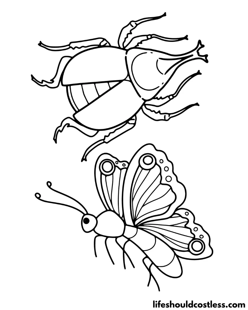 Insect coloring pages free printable pdf templates