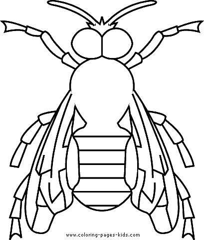 Bugs coloring page for kids