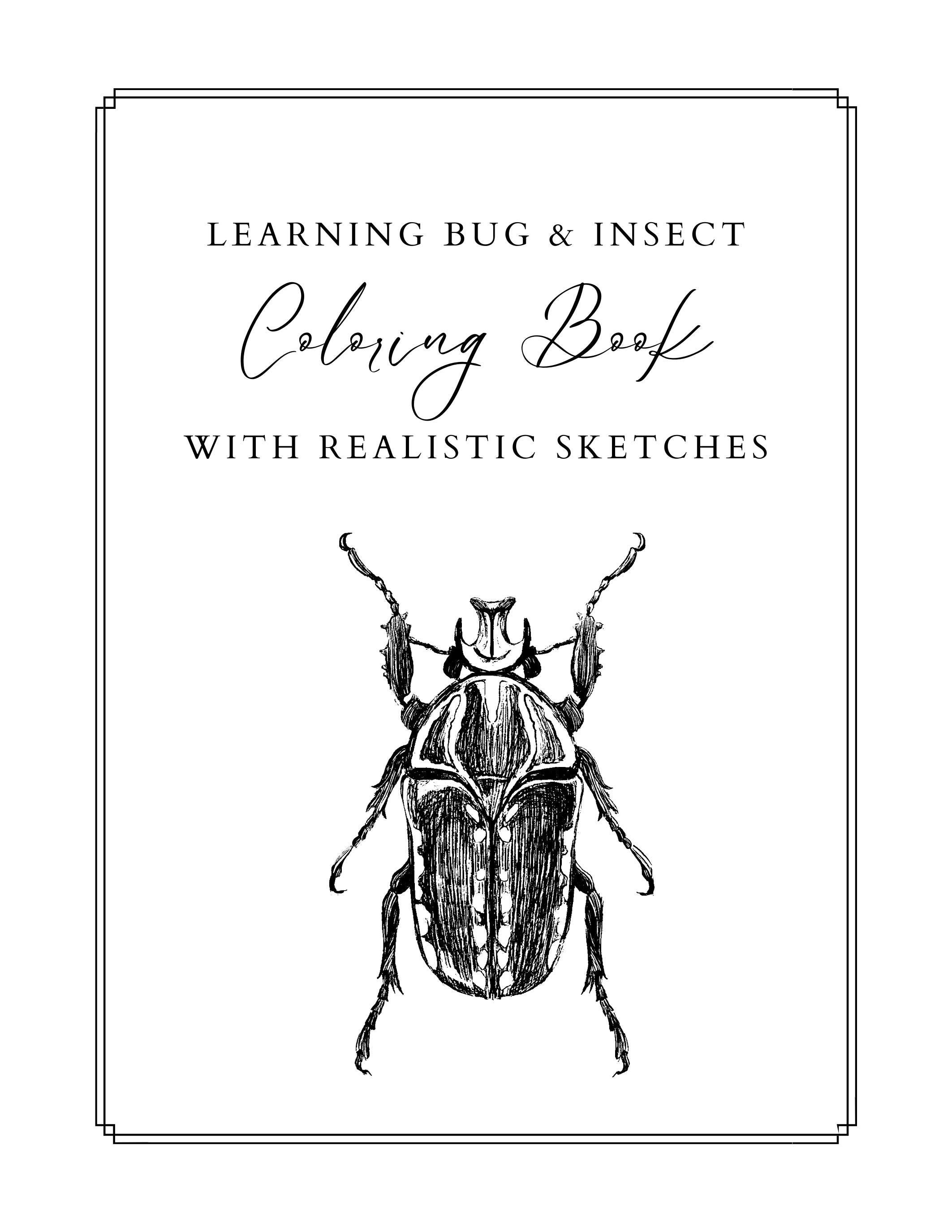 Bug insect coloring book