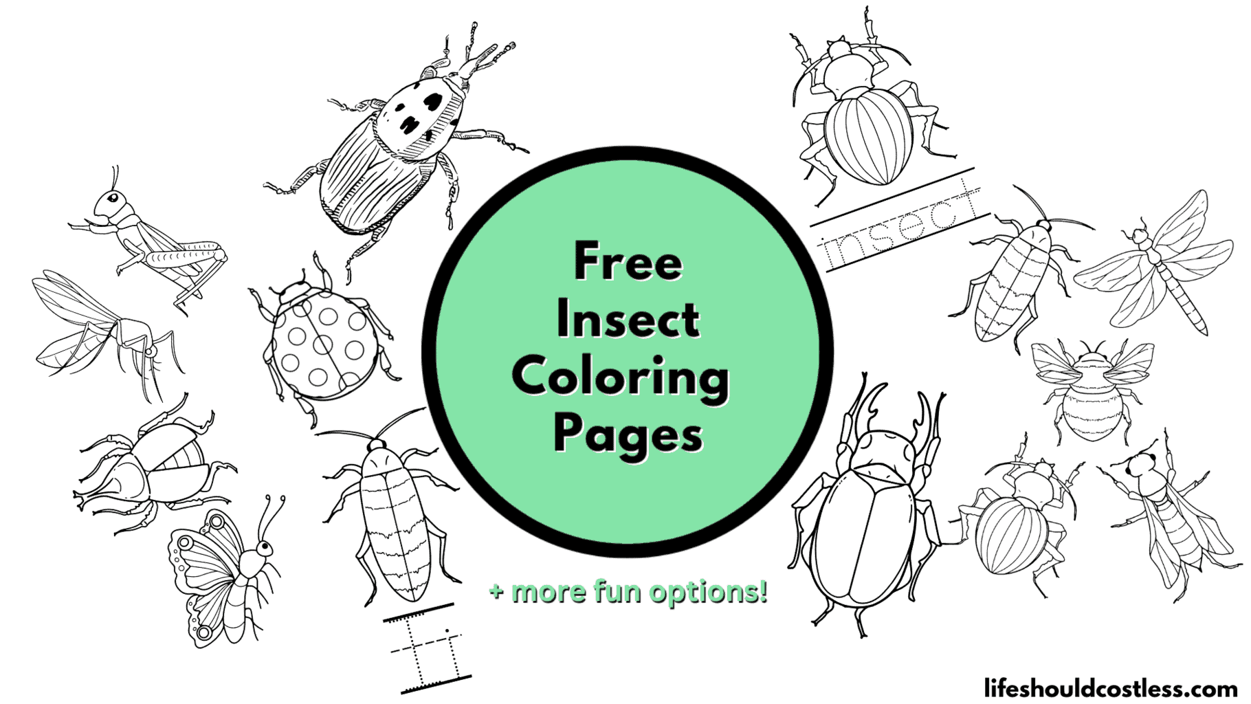 Insect coloring pages free printable pdf templates