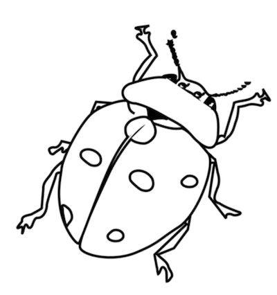 Cute ladybug coloring pages you can print for free