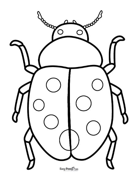 Printable ladybug coloring pages â sheets to color