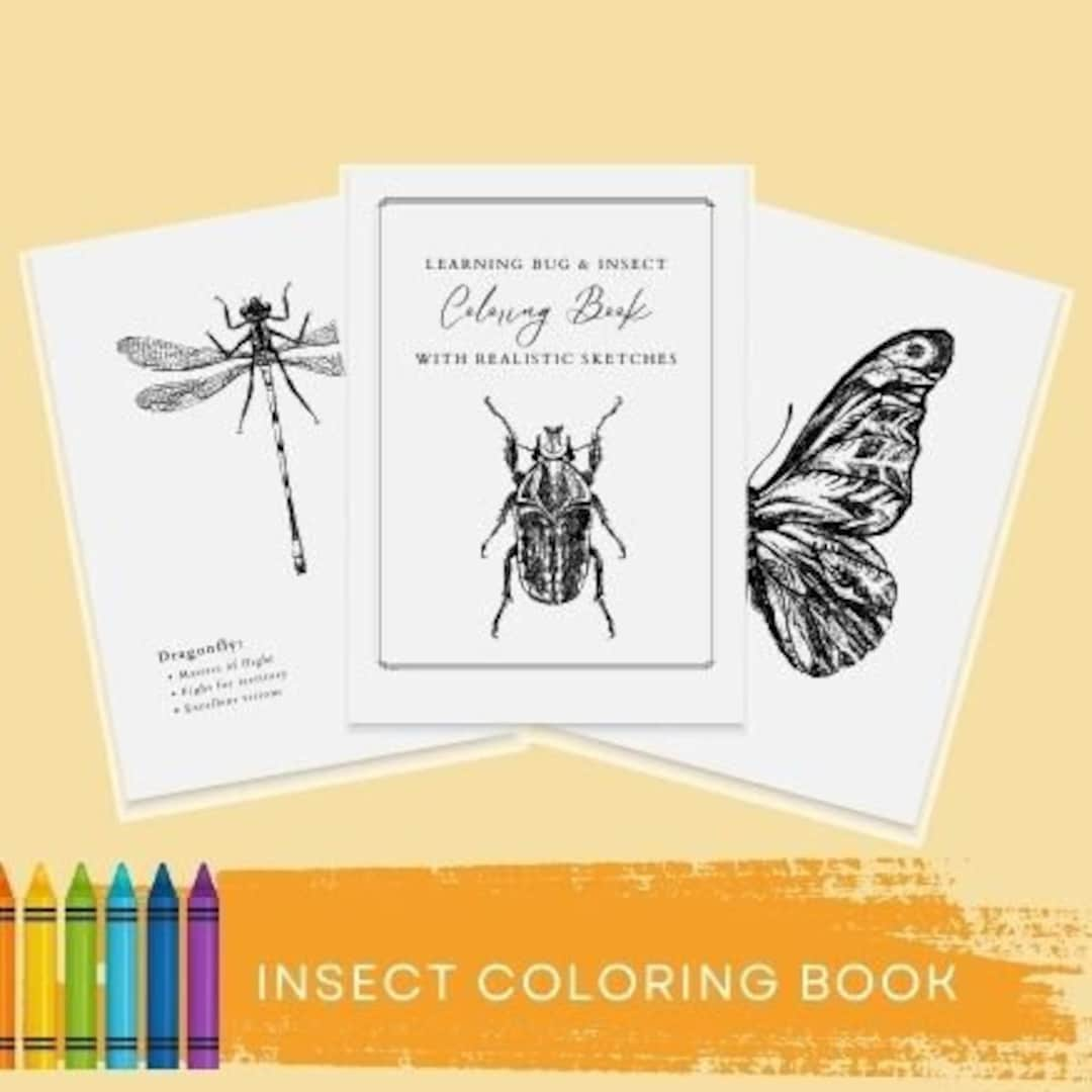 Bug insect coloring book