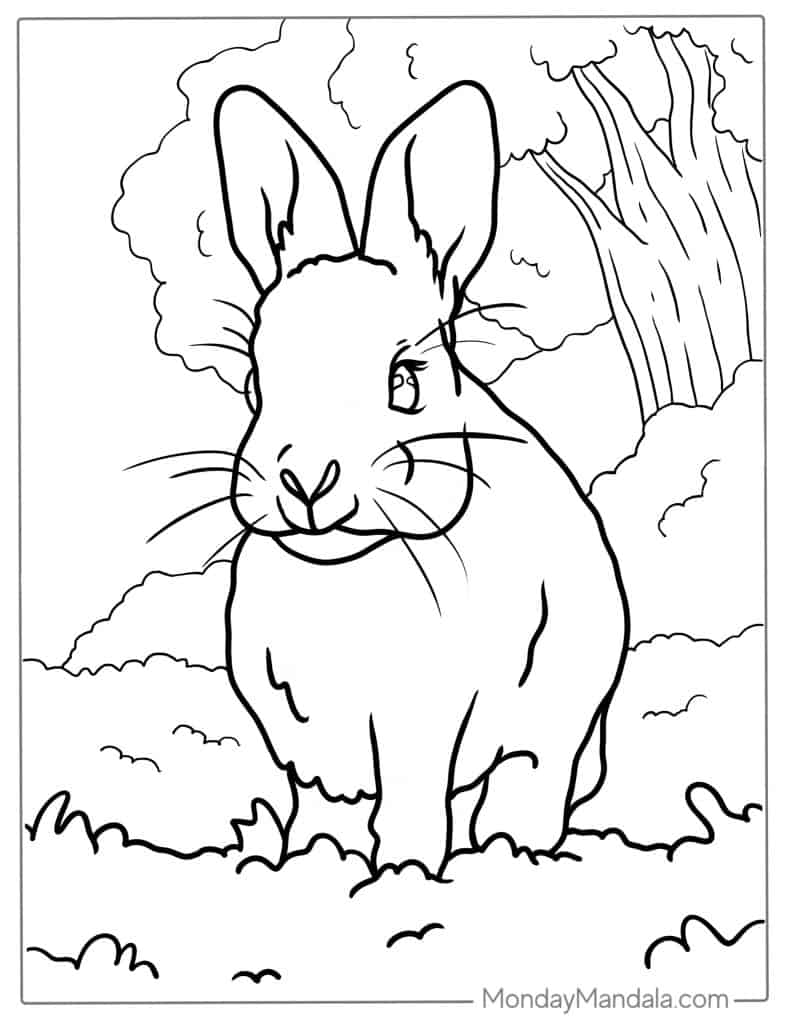 Rabbit coloring pages free pdf printables