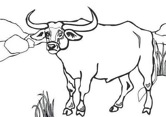 Coloring pages forest bull coloring pages