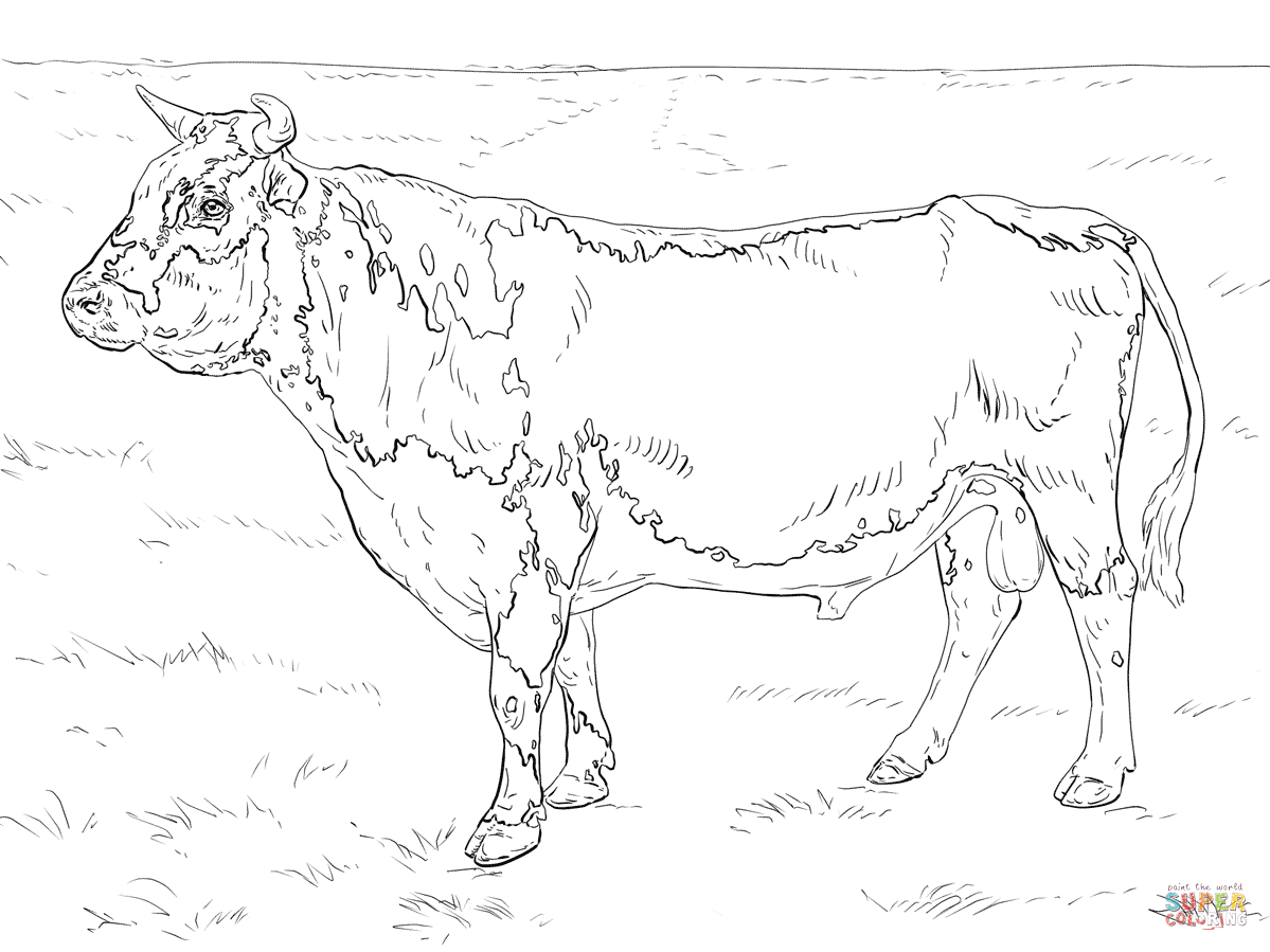 Randall bull coloring page free printable coloring pages