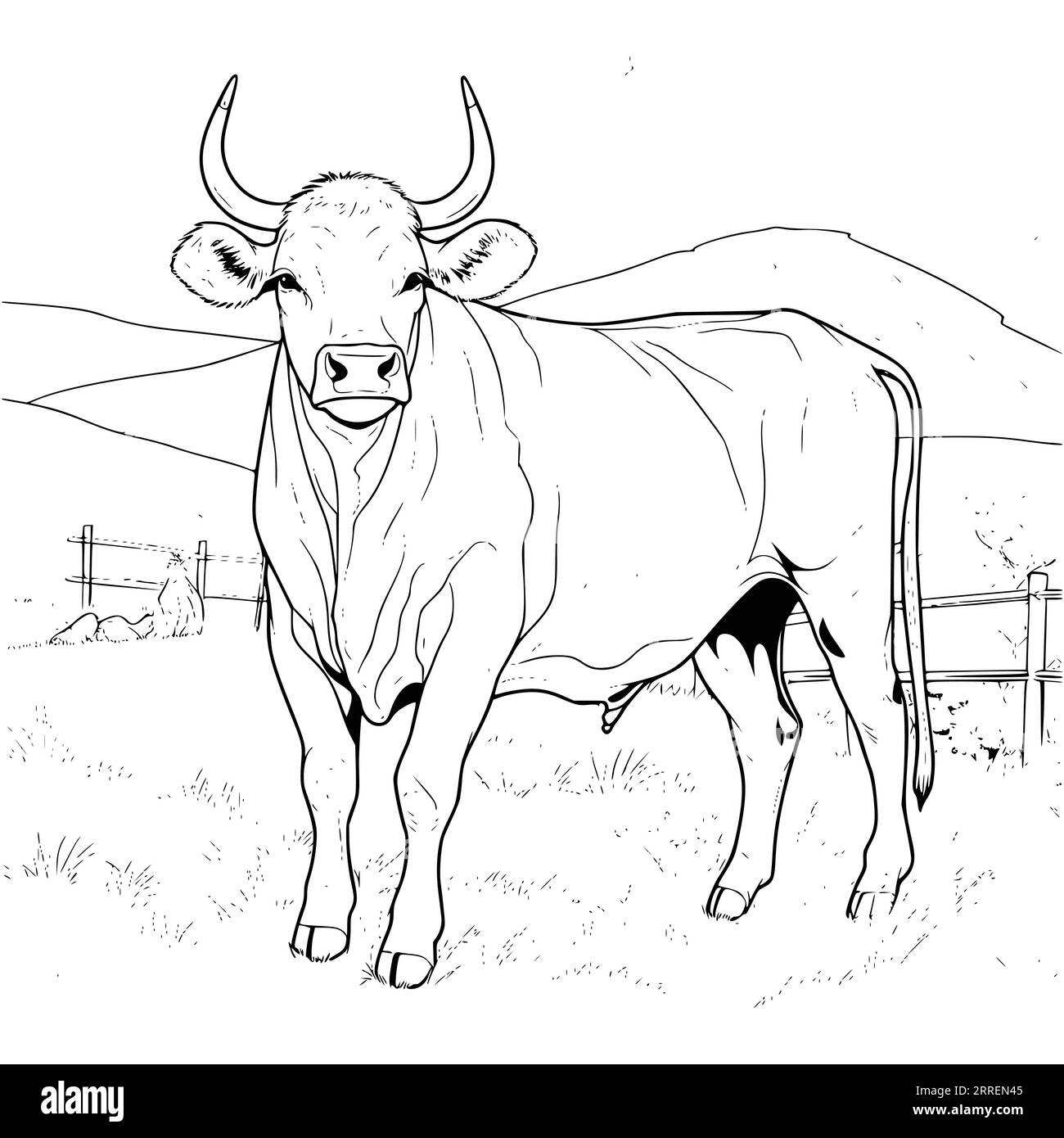Cow coloring pages for adults hi