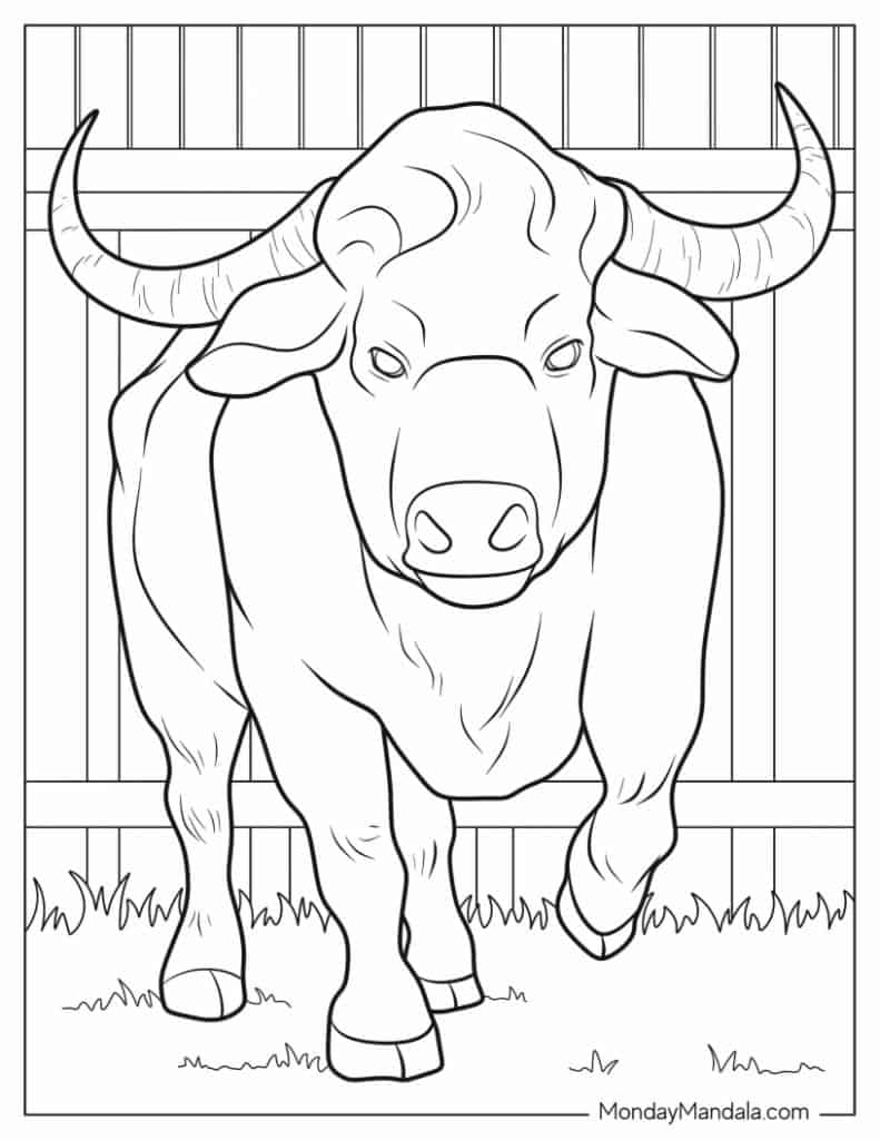 Bull coloring pages free pdf printables